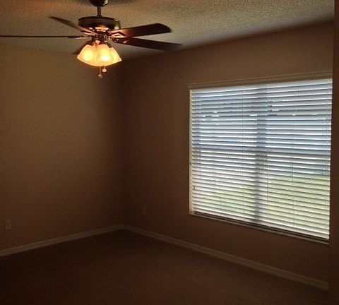 5th image of 843 Clifton Hills St