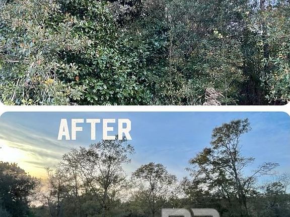 5th image of 12541 Frondfield Ln