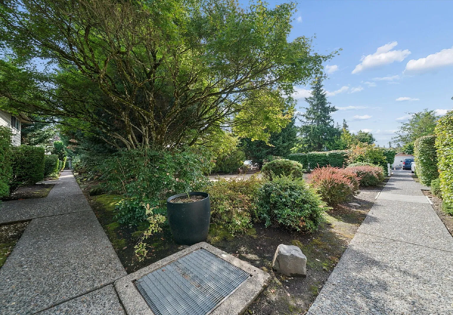 2 bed, 1.5 bath, 900 sqft, $1,695 — Photo 4