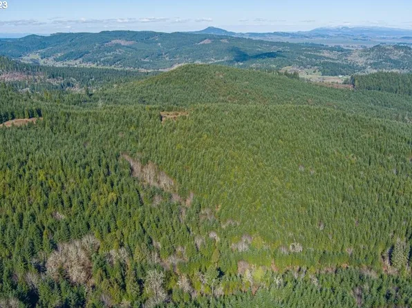 0 Turkey Run Rd, Creswell, OR 97426