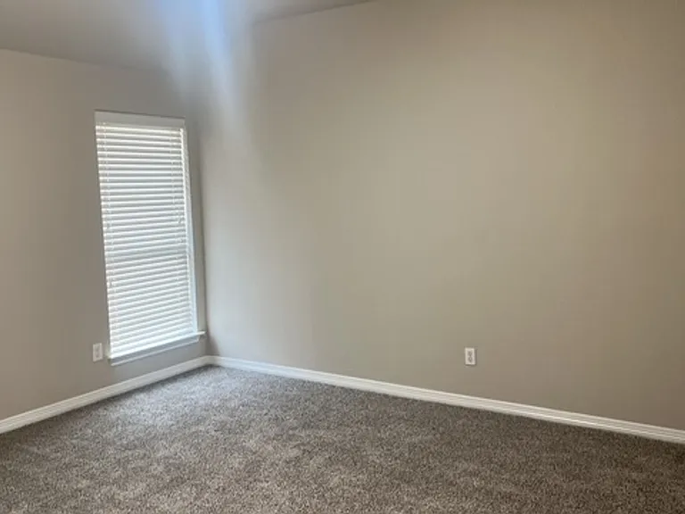 1509 Weeping Willow Ln — Photo 15