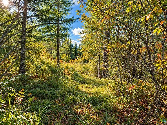 6th image of TBD Hinkkanen Rd