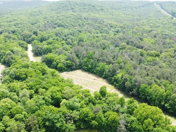 0 Ricks Cemetery Rd, Leighton, AL 35646