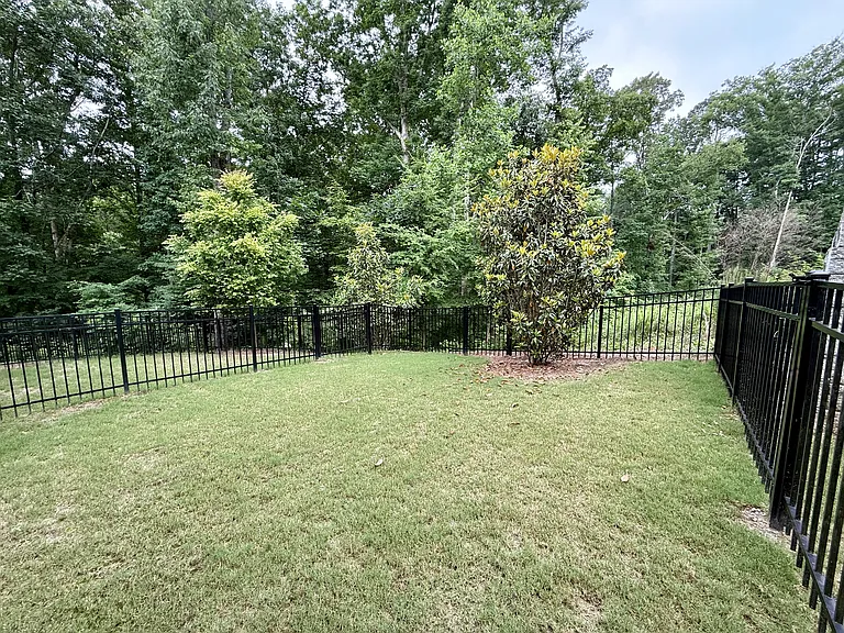 Fenced backyard