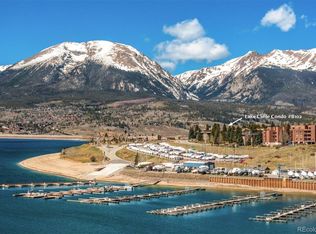 160 E La Bonte Bldg B #102, Dillon, CO 80435