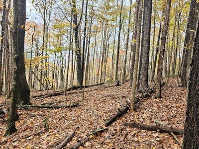 Wild Flower Ln, Galax, VA, 24333
