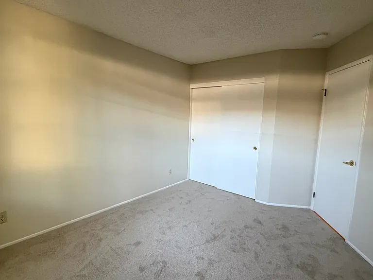 34200 Gadwall Cmn — Photo 5
