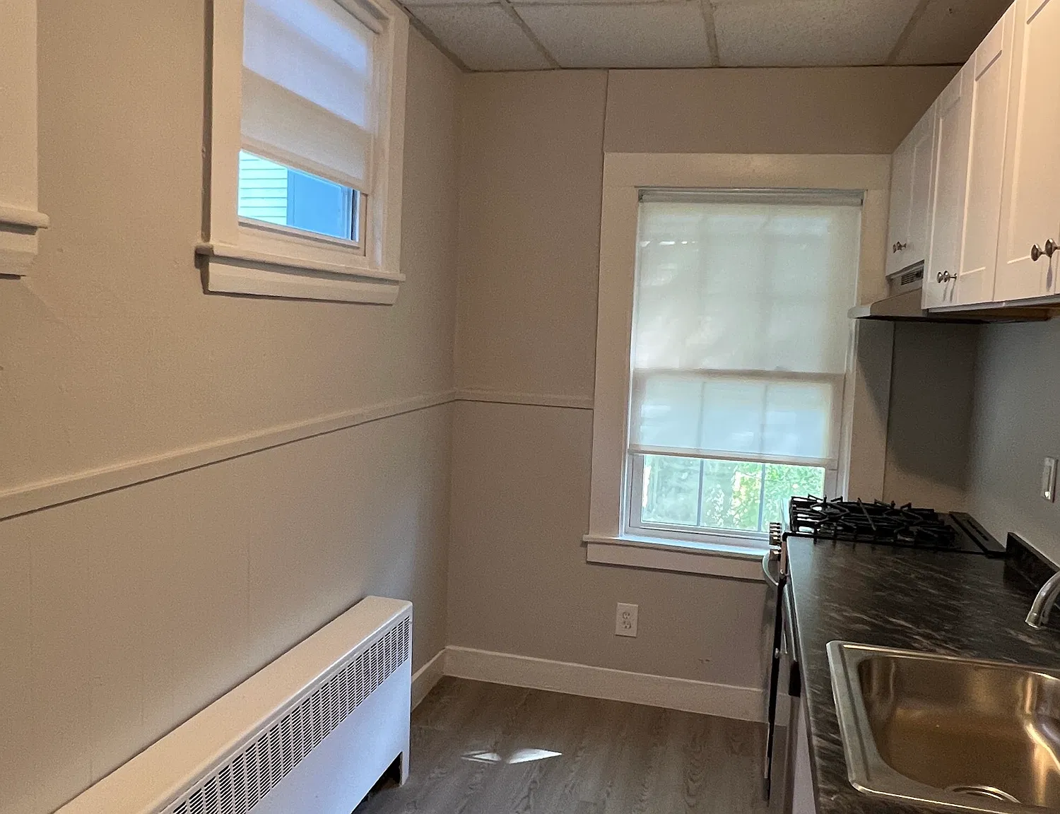 299 Nahant Rd — Photo 3