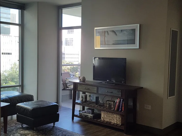 425 W Beech St #701 — Photo 4