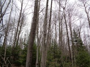 Valley View Rd, Townsend, WI 54175