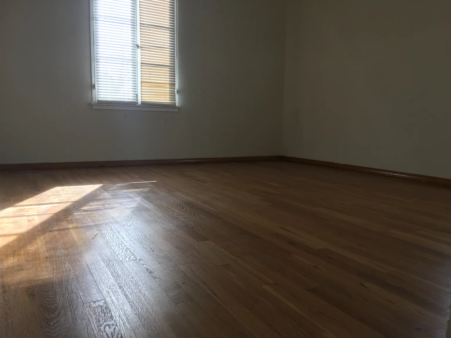 1 bed, 800 sqft, $1,725 — Photo 3