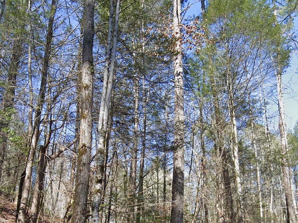 1st image of LOT 38 Black Walnut Flats Rd