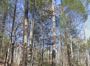 LOT 38 Black Walnut Flats Rd, Sevierville, TN 37862