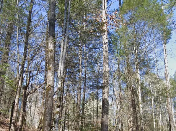 LOT 38 Black Walnut Flats Rd, Sevierville, TN 37862