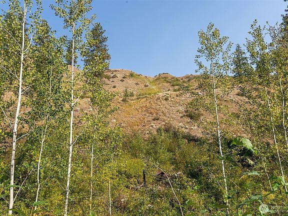 5th image of 88 TBD Gold Creek Road