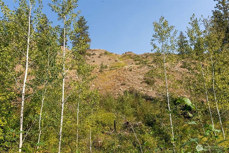 5th image of 88 TBD Gold Creek Road