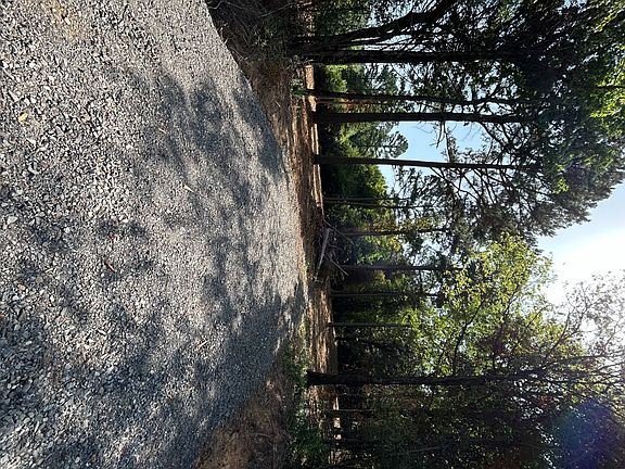 3rd image of 7412 Pierce Rd