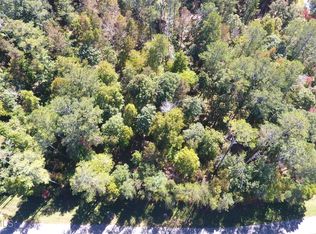 244 Pinnacle Dr, Ellijay, GA 30540