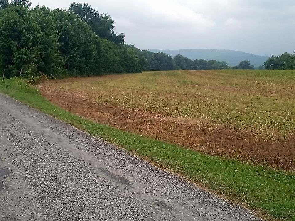 2nd image of 456 Whites Gap Rd