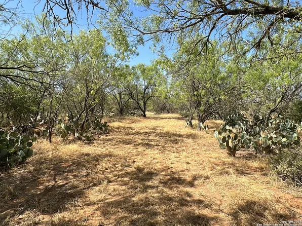 157 CR 2644 LOT 29, Moore, TX 78057