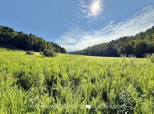 0 Panther Creek Rd, Nettie, WV 26681