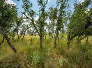 1445 Cave Wells Rd, Fort Mc Kavett, TX 76841