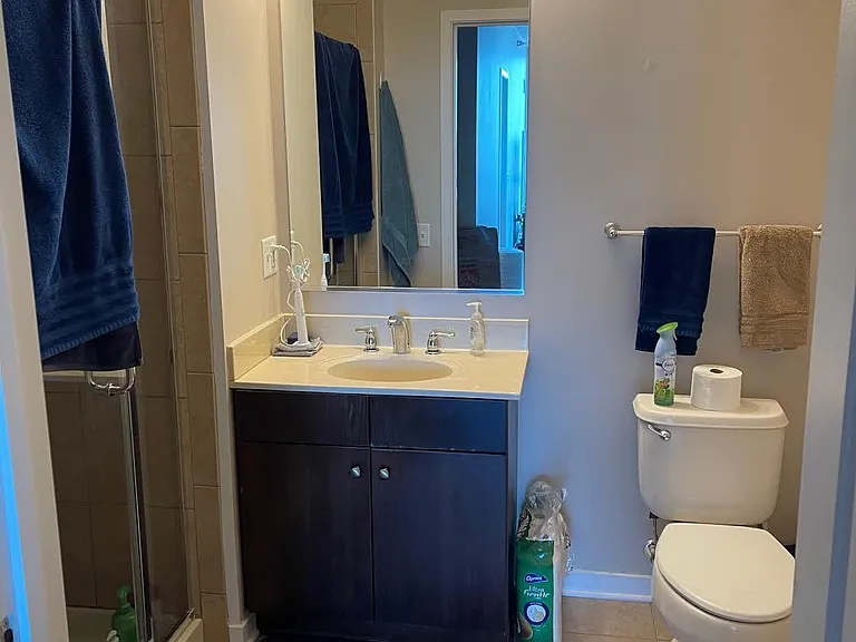 757 N Orleans St #909 — Photo 18