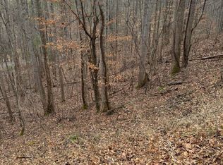 71 Golf Course Rd, Unicoi, TN 37692