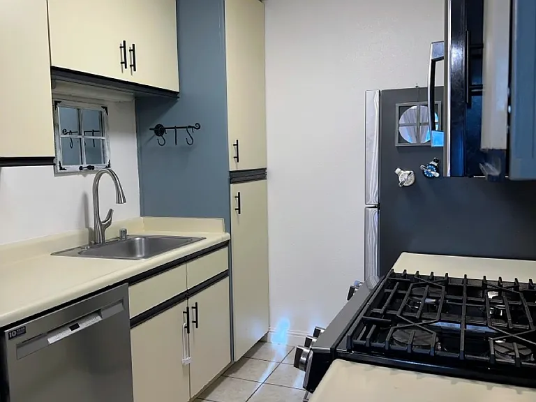 Stainless steel dishwasher with sink and gooseneck faucet and plenty of cabinets