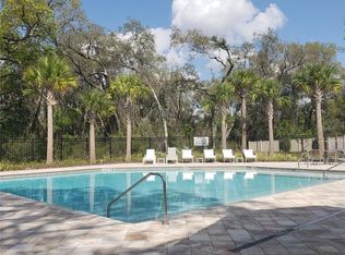 34218 Rogallo Ln, Wesley Chapel, FL 33545