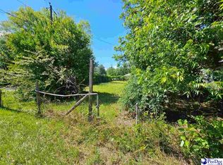 222 Marion Ave, Hartsville, SC 29550