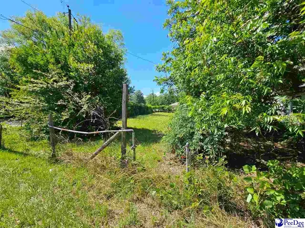 222 Marion Ave, Hartsville, SC 29550