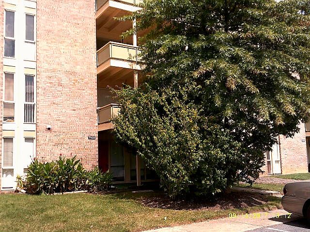 1st image of 7102 Donnell Pl
