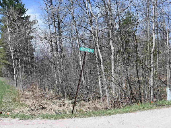 0 Autumn Dr, Saint Helen, MI 48656