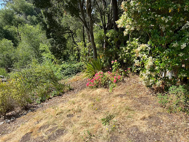 2524 Charlene Ln — Photo 49