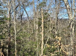 LOT 1198 Lancer Ct, Ellijay, GA 30540