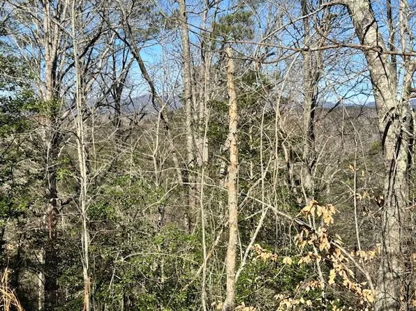 LOT 1198 Lancer Ct, Ellijay, GA 30540
