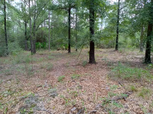 Lots 7 & 8 E Yellow Poplar Ave, Defuniak Springs, FL 32433