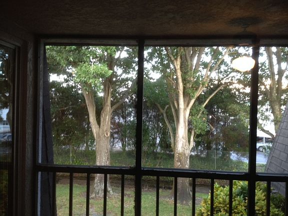 View from Balcony