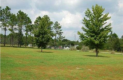 3rd image of 4649 Thoroughbred Dr
