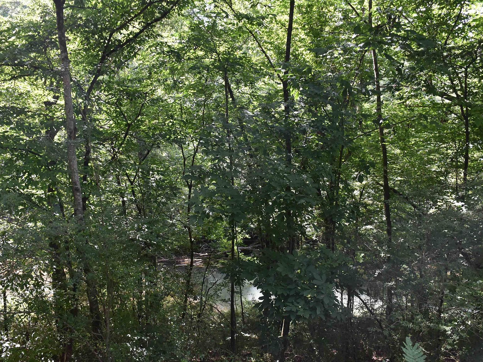0 Old Sylacauga Hwy #0, Sylacauga, AL 35150 | MLS #21388549 | Zillow
