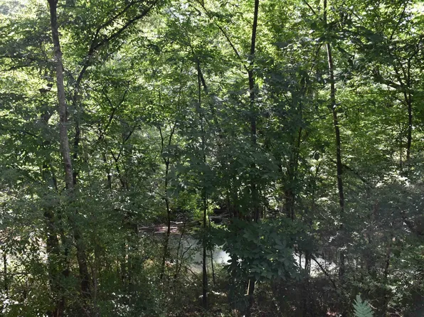 0 Old Sylacauga Hwy #0, Sylacauga, AL 35150