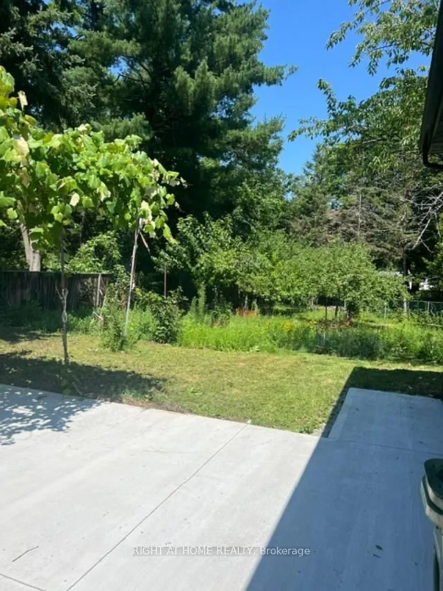1 bed, $1,799 — Photo 4