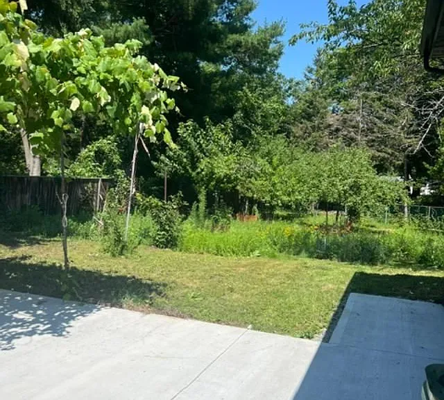 61 Gladys Rd #3 — Photo 4