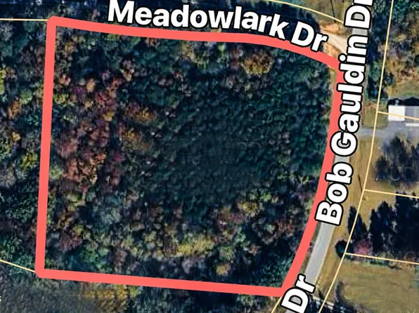 0 Bob Gauldin Rd Lot 6, Pelham, NC 27311