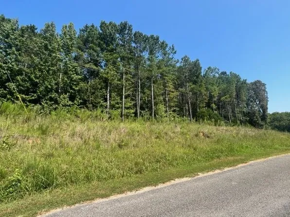 0 Old Lula Rd, Reagan, TN 38368