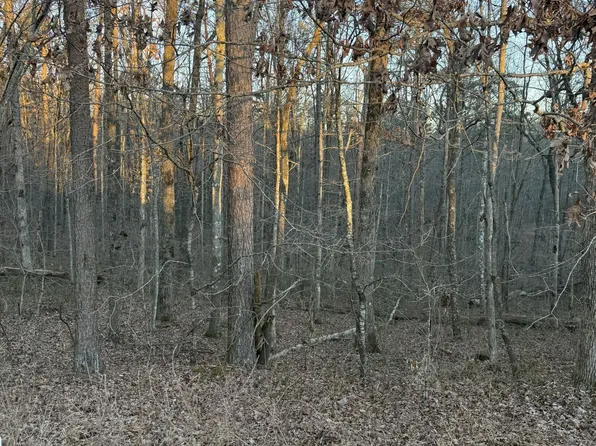 5 W Laurel Way Lot 5, Monterey, TN 38574