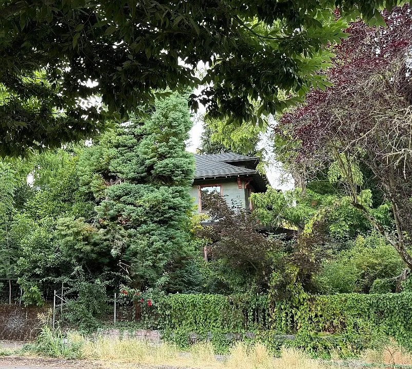 1025 SE 17th Ave