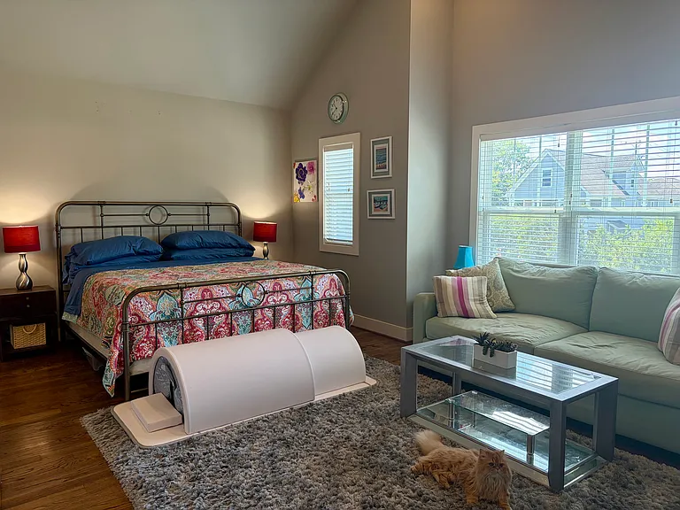 HUGE primary bedroom! Tons of natural light, vaulted ceilings, a spacious sanctuary, with ensuite bathroom, one walk-in closet and one regular closet. *NOTE: house comes unfurnished (pics show current owner's furnishings that will be moved).*