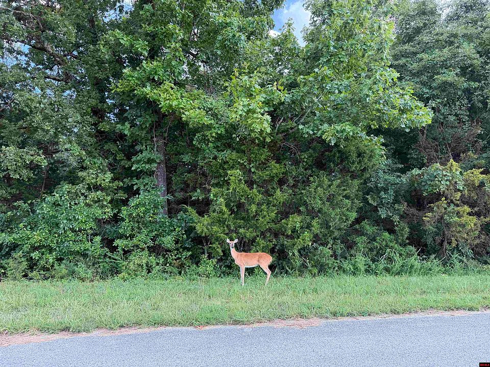 2nd image of TRACT 6 County Road 58